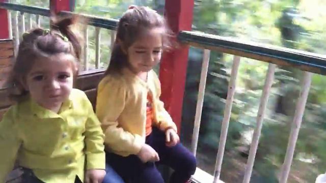 Катаемся на поезде / детская железная дорога / Toy railway смотреть онлайн