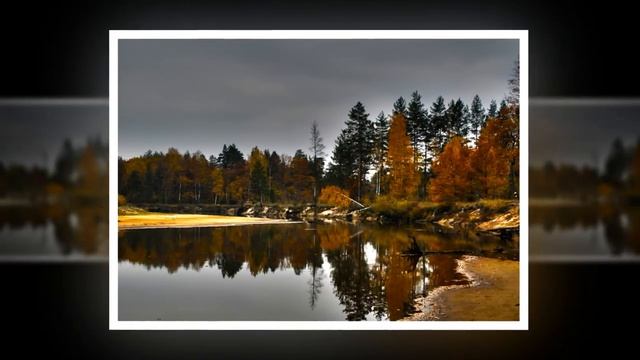 Природа Рязанского края. смотреть онлайн