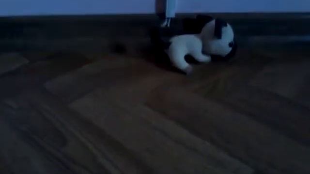 Моя коллекция котико смотреть онлайн