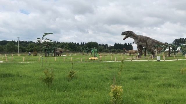 Влог. Приехали в Стризнево. Динопарк и зоопарк. Снова купила билеты в Москву... смотреть онлайн