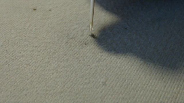 ремонт прожога от сигареты смотреть онлайн