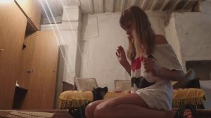 Дрессировка той терьер