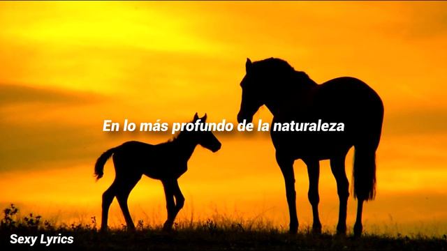 Caballo Homosexual De Las Montañas | LETRA смотреть онлайн