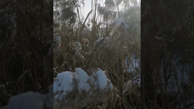 Українська колискова "Ой люлі люлі..." смотреть онлайн