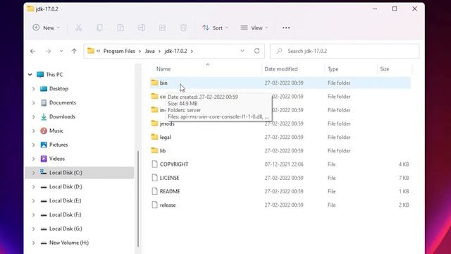 How to Download & Install Java JDK 17.0.2 on Windows 11 | Set Path & JAVA_HOME for Java Programmin смотреть онлайн