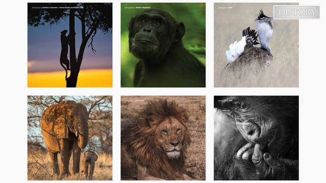 Benjamin Mkapa Photography Awards