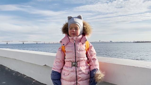 Александр Пушкин - Зимнее утро смотреть онлайн