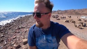 Египет. Классное место в Дахабе! Обязательно к посещению. Дахаб из Шарм эль Шейха. Отдых 2020