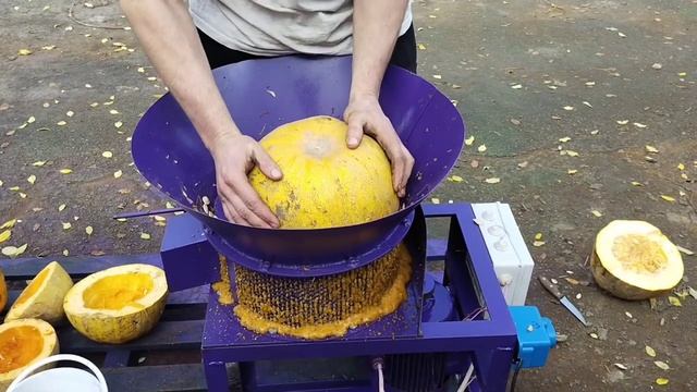 КГС-310 — Електричний гарбузовий комбайн смотреть онлайн