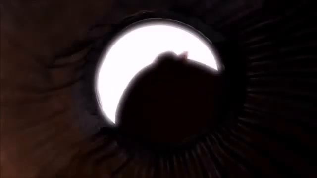 Toy Story 2 Woody's Nightmare Reversed