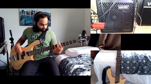 Washburn T14 & Warwick BC20 - My new bass and amp смотреть онлайн