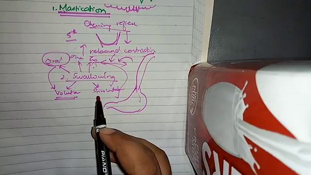 PROPULSION and MIXING OF FOOD in GIT ch 64 guyton fast review part 1mastication and deglutition смотреть онлайн