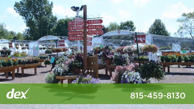Countryside Flower Shop, Nursery & Garden Center смотреть онлайн