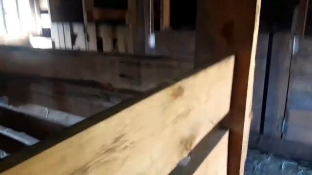 Тимпатия рубца у коровы Ночки!  Как лечили корову.