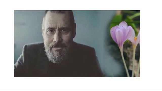 10-я ИСТИНА смотреть онлайн