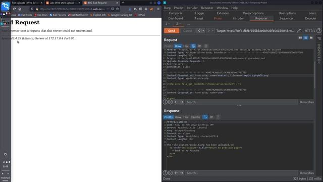 PortSwigger - File upload vulnerabilities [AR] смотреть онлайн