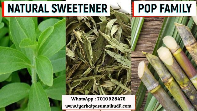 105. Natural Sweetener || Stevia || Beetroot || Healthy Beverages || POP Family || Herbal Boost смотреть онлайн
