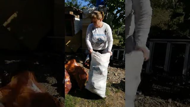 Муравейник общественный центр