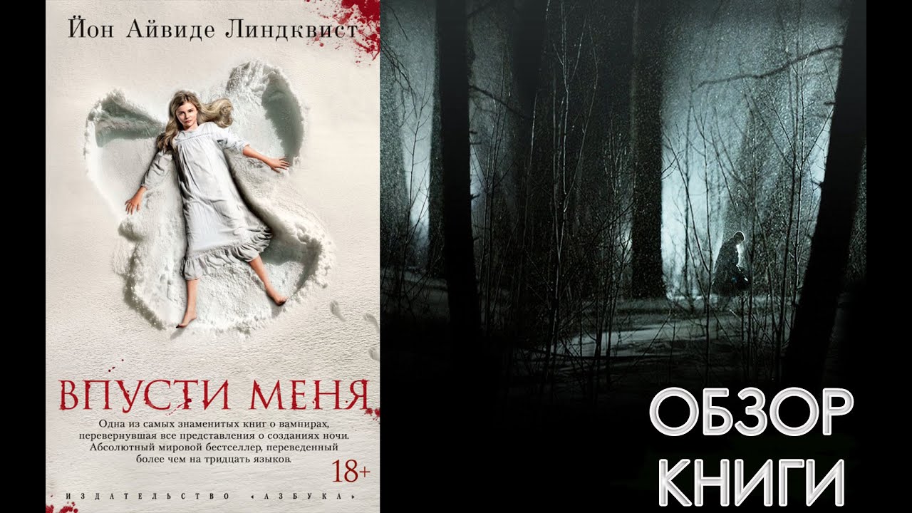 ОБЗОР КНИГИ - ВПУСТИ МЕНЯ смотреть онлайн