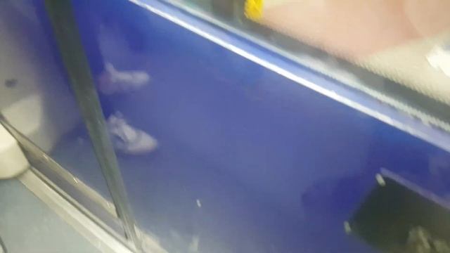 Метро София - Линия М2: Витоша - Сердика | Sofia Metro смотреть онлайн