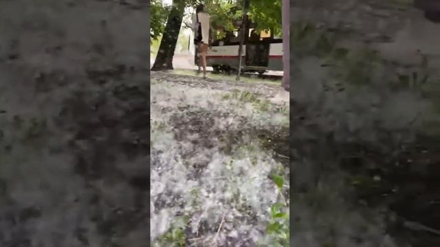 Началось??? Тополиный пух, жара, аллергия смотреть онлайн