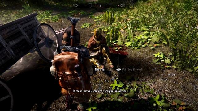 "Everyone Gets The Classic Skyrim Welcome!!!" смотреть онлайн