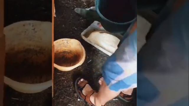 Теплица | огурцы | дача смотреть онлайн