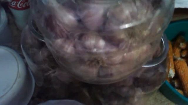 Чеснок хранение зимнее смотреть онлайн