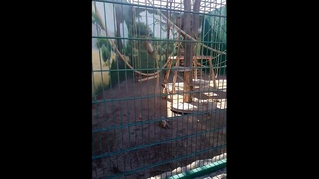 Биопарк Одесса Часть 1 смотреть онлайн