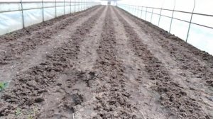 Профессиональная теплица!