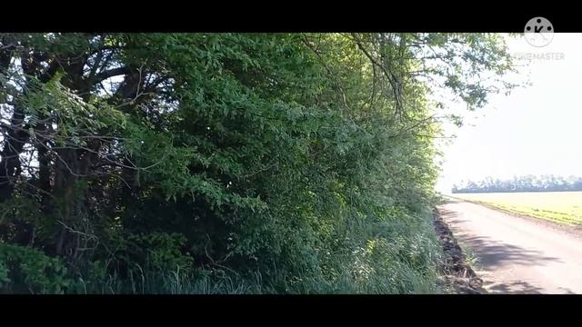 Кочевка на акацию ,белая акация отцветает,зацветает жёлтая. Что делать ,переезжать или остаться? смотреть онлайн