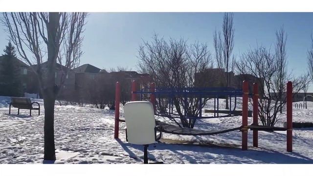 Мороз и солнце! смотреть онлайн