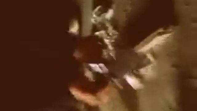 Парень срёт смотреть онлайн