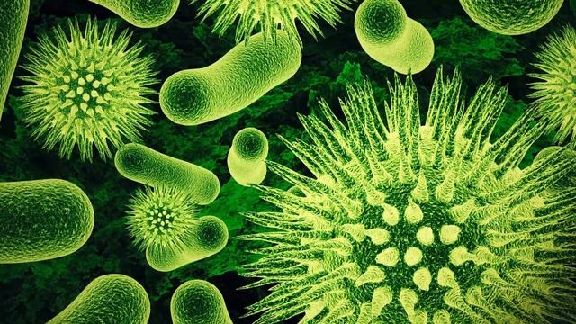 10 Отвратительных Фактов о Человеческом Теле смотреть онлайн