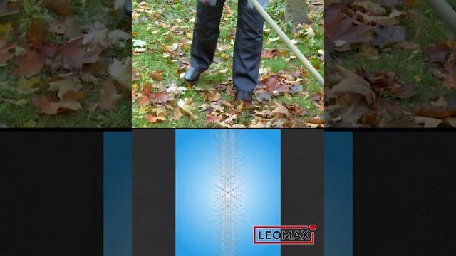 Термобелье “Аляска” МУЖ (черный, 48 - 58р), от Leomax смотреть онлайн