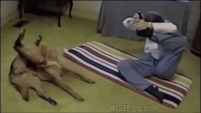 Йога-пес, а Вам слабо? Это надо видеть! смотреть онлайн