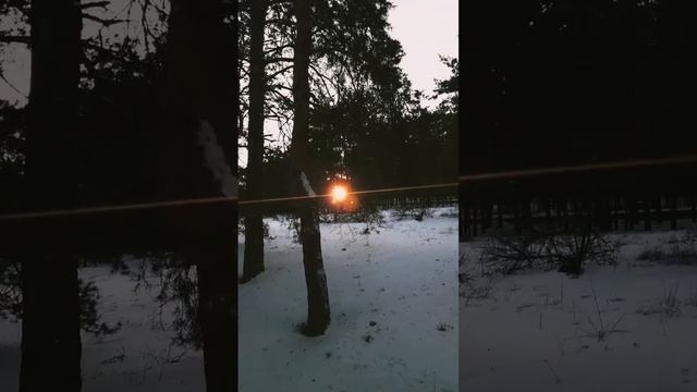 Воздержание твое ментальное преимущество #воздержание #половоевоздержание смотреть онлайн