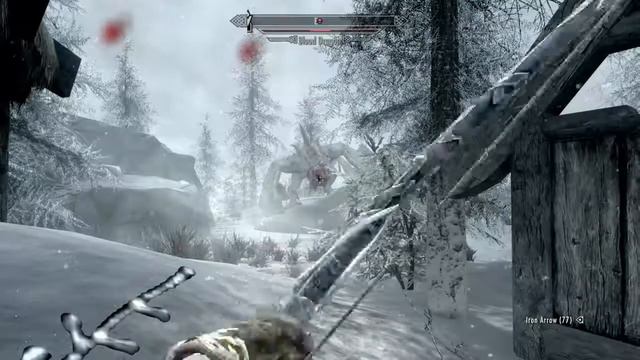 ZA WARUDO In Skyrim