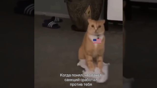 Когда санкции не работают смотреть онлайн