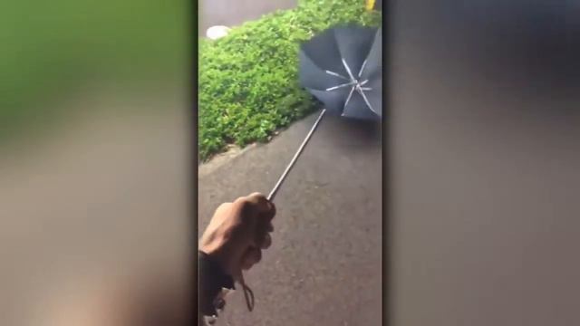 Фейл с зонтиком \ Umbrella fail смотреть онлайн