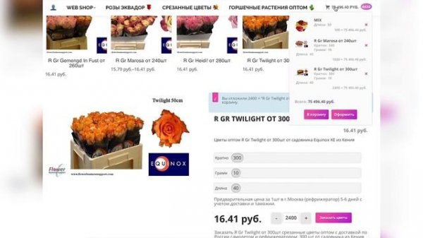 Инструкция Web Shop