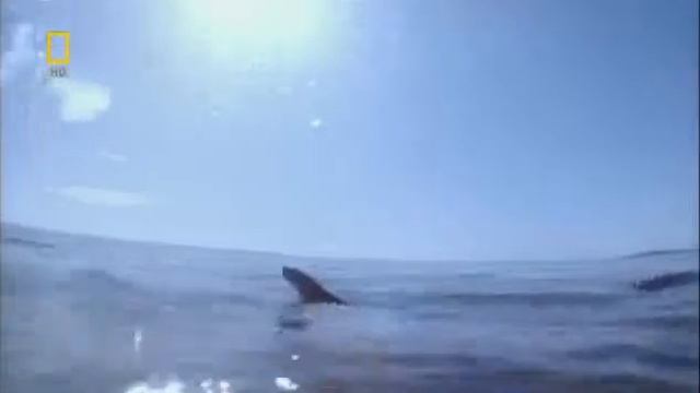 Юго- Восточная Азия смотреть онлайн