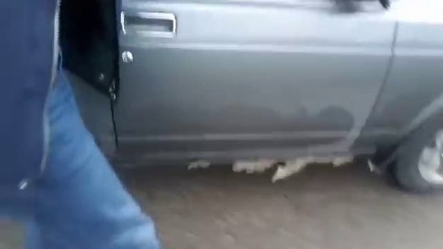 Вирусное видео "погода в Днепре 29.11.17" смотреть онлайн