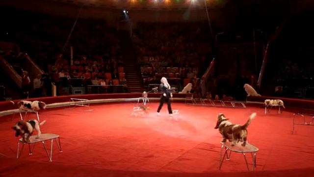 Забукайте Г.Б. «смена» смотреть онлайн