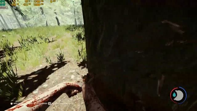 The forest Amd ryzen 3 4300g test 16gb ram смотреть онлайн