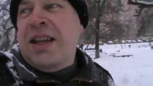 Люди кормят голубей зимой смотреть онлайн