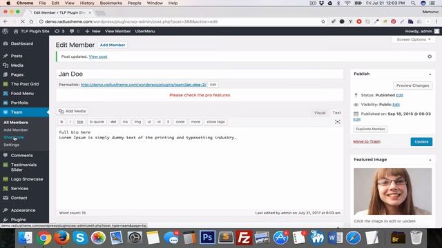 How to use TLP Team WordPress Plugin смотреть онлайн