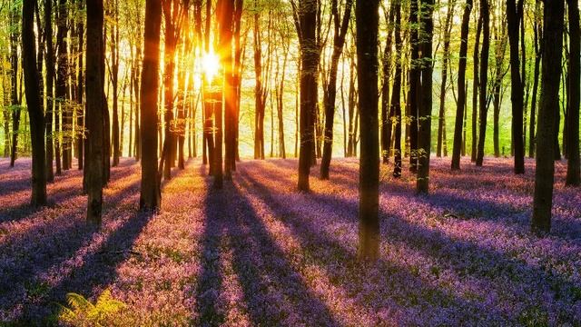 Классическая музыка для детей. День.\ Classical Music for Children. Day смотреть онлайн