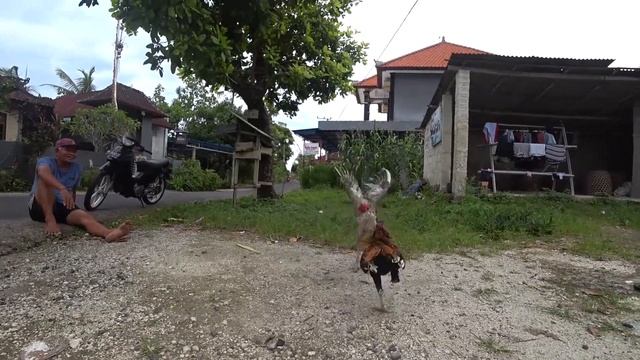 На что способна Sony FDR-X3000 смотреть онлайн