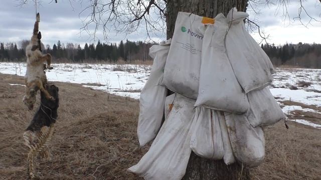 ХОТЕЛИ БЕЖАТЬ ОТ ТУДА, НО НАШЛИ ЗОЛОТО. КОП МОНЕТ 2019 смотреть онлайн